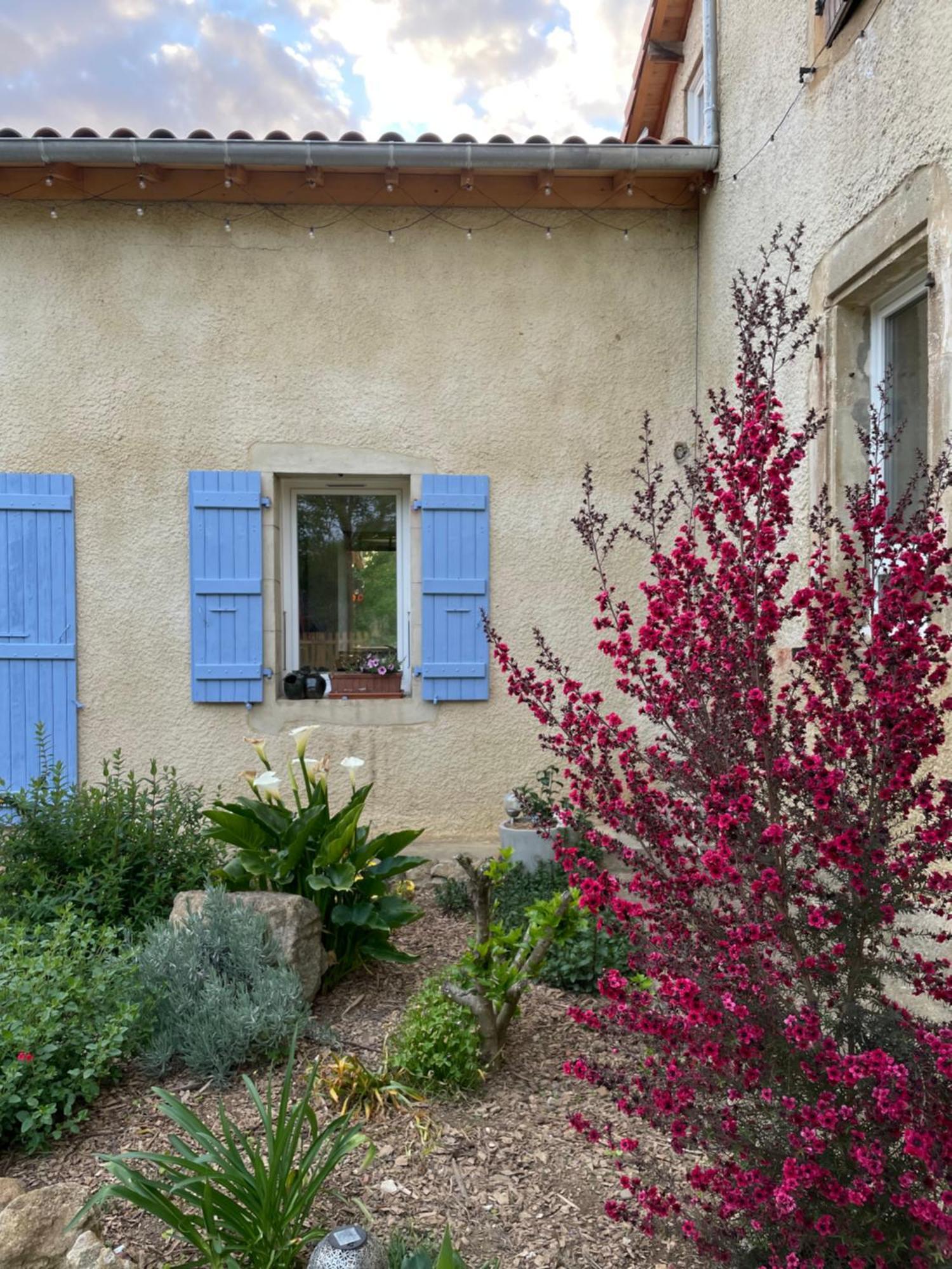 La Bastide Bed and Breakfast Armous-et-Cau Exteriör bild